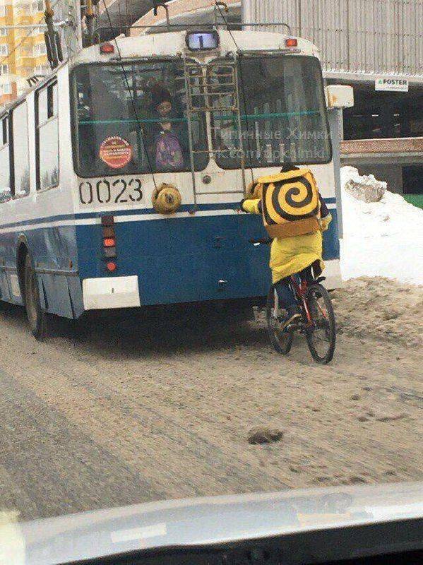 Daily Picdump