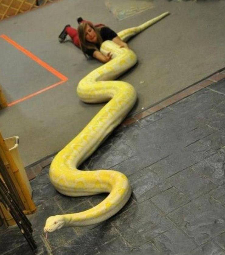 Daily Picdump