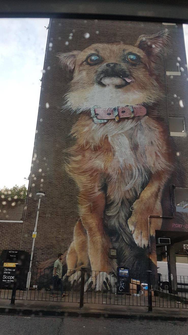 daily picdump 97 pics 11.html - 97 HD Photos | Premium Gallery 2019