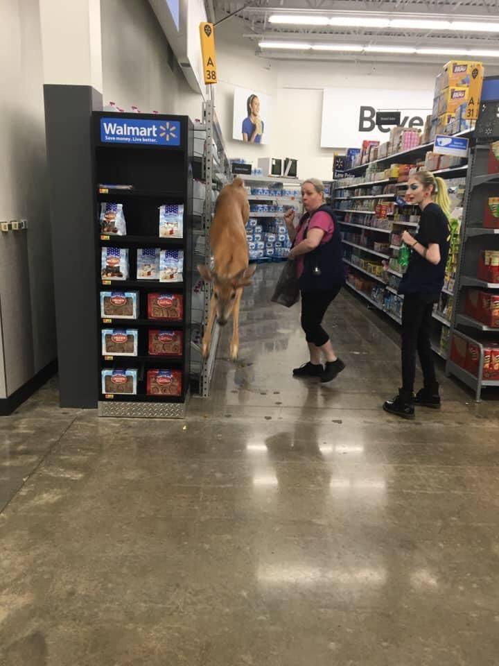 daily picdump 97 pics 11.html - 97 HD Photos | Premium Gallery 2019