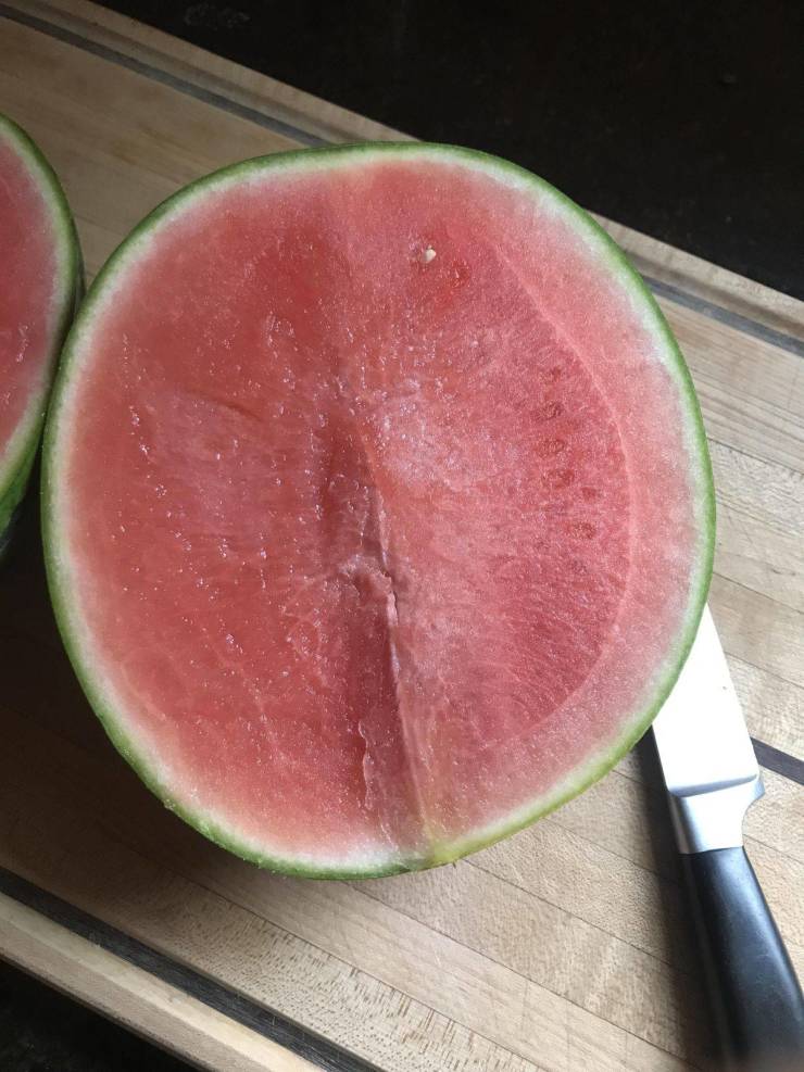 daily picdump 97 pics 11.html - 97 HD Photos | Premium Gallery 2019