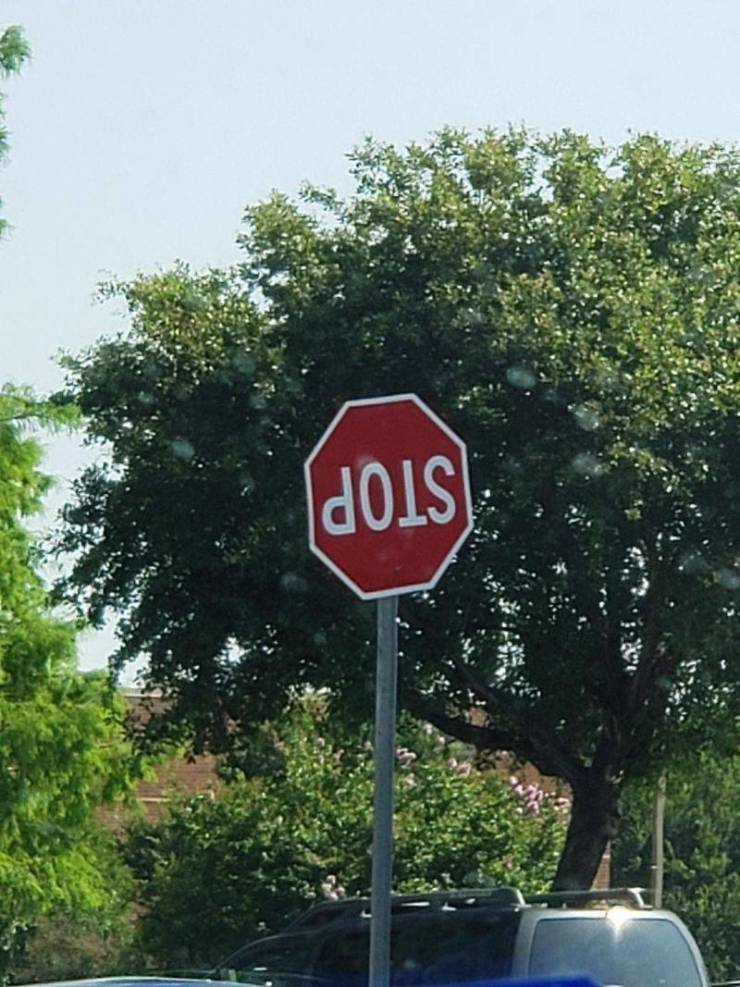 daily picdump 97 pics 11.html - 97 HD Photos | Premium Gallery 2019