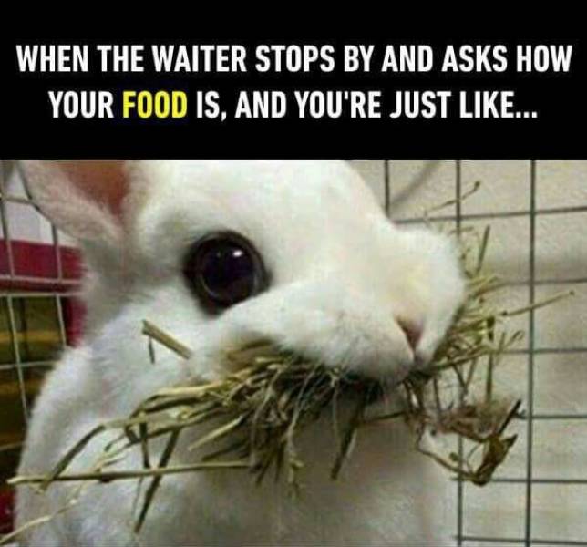 page,3,top 250 funny pics of the year 2019.html - 1 HD Photos | Premium Gallery 2019