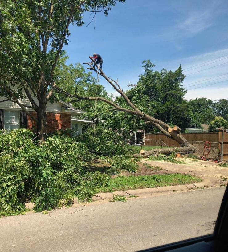 daily picdump 96 pics 40.html - 96 HD Photos | Premium Gallery 2019