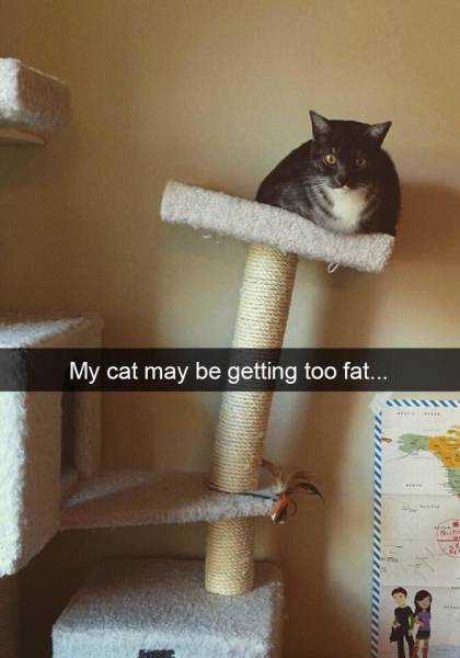 page,7,top 250 funny pics of the year 2019.html - 1 HD Photos | Premium Gallery 2019