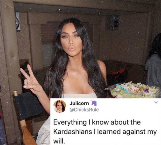 page,7,top 250 funny pics of the year 2019.html - 1 HD Photos | Premium Gallery 2019