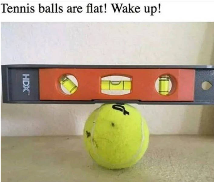 page,7,top 250 funny pics of the year 2019.html - 1 HD Photos | Premium Gallery 2019