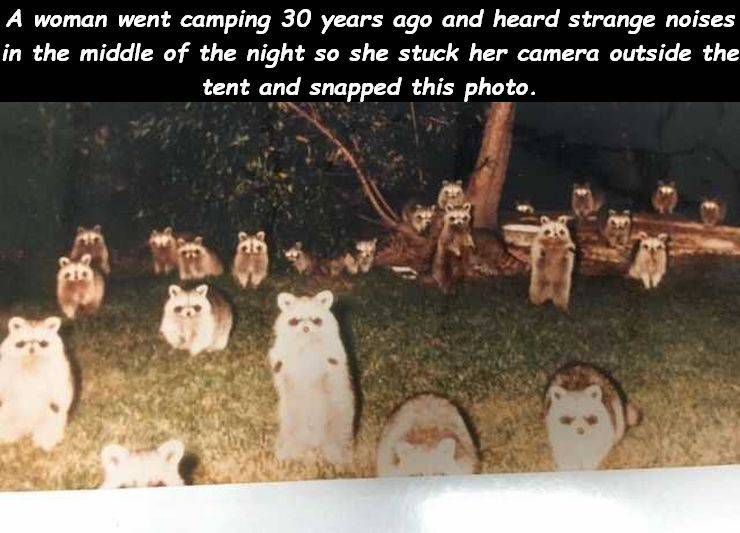 Daily Picdump