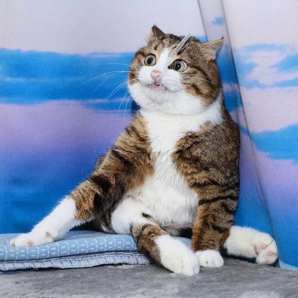 daily picdump 95 pics 3.html - 95 HD Photos | Premium Gallery 2019