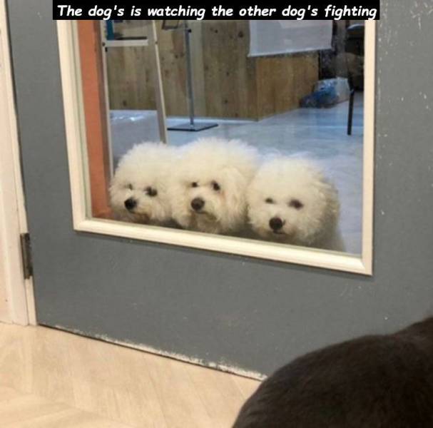 daily picdump 95 pics 3.html - 95 HD Photos | Premium Gallery 2019