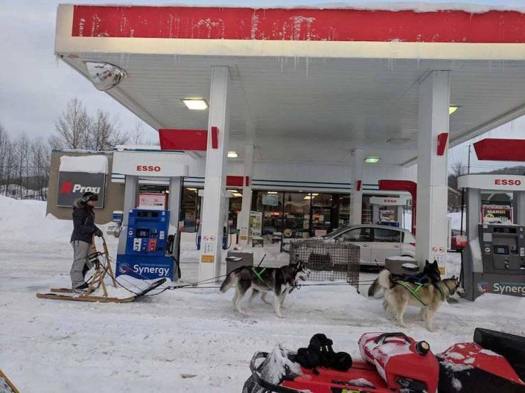 daily picdump 95 pics 3.html - 95 HD Photos | Premium Gallery 2019
