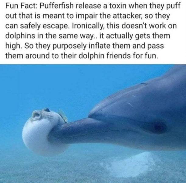 daily picdump 95 pics 3.html - 95 HD Photos | Premium Gallery 2019