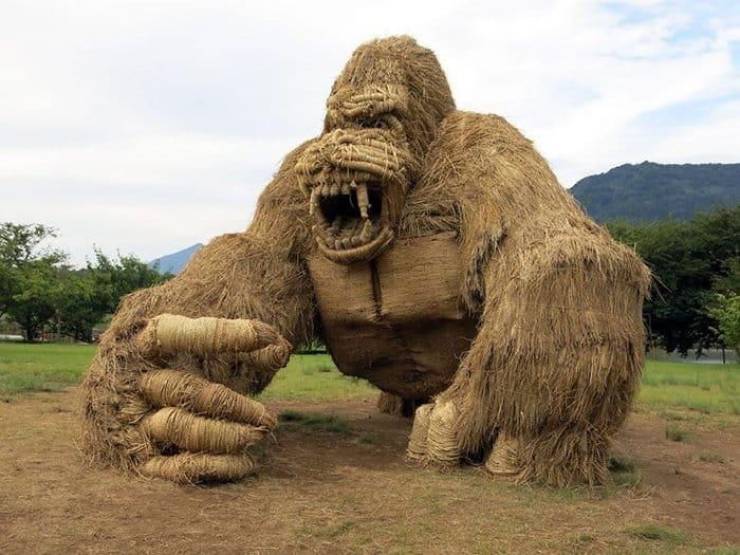 daily picdump 95 pics 3.html - 95 HD Photos | Premium Gallery 2019