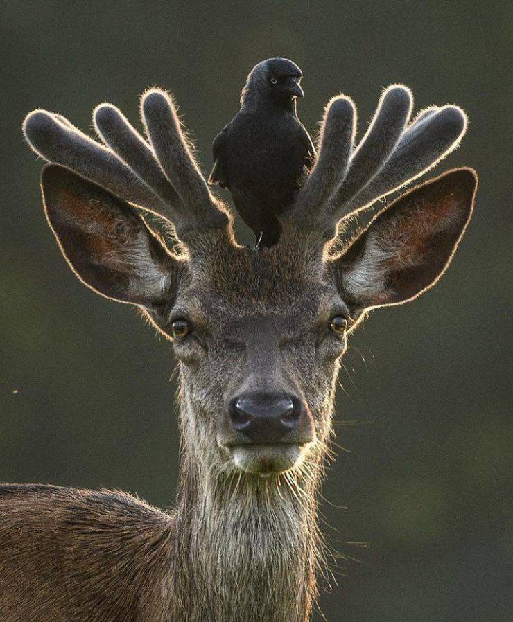 Daily Picdump
