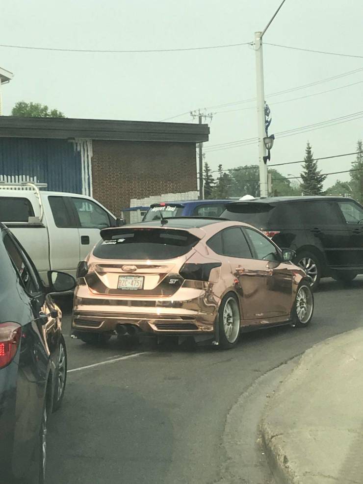 daily picdump 95 pics 3.html - 95 HD Photos | Premium Gallery 2019