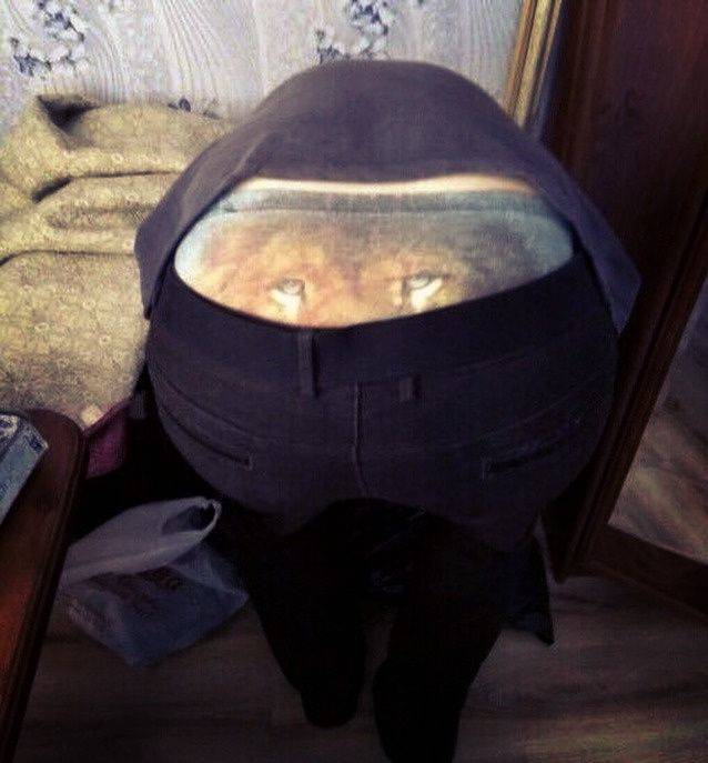 daily picdump 95 pics 3.html - 95 HD Photos | Premium Gallery 2019