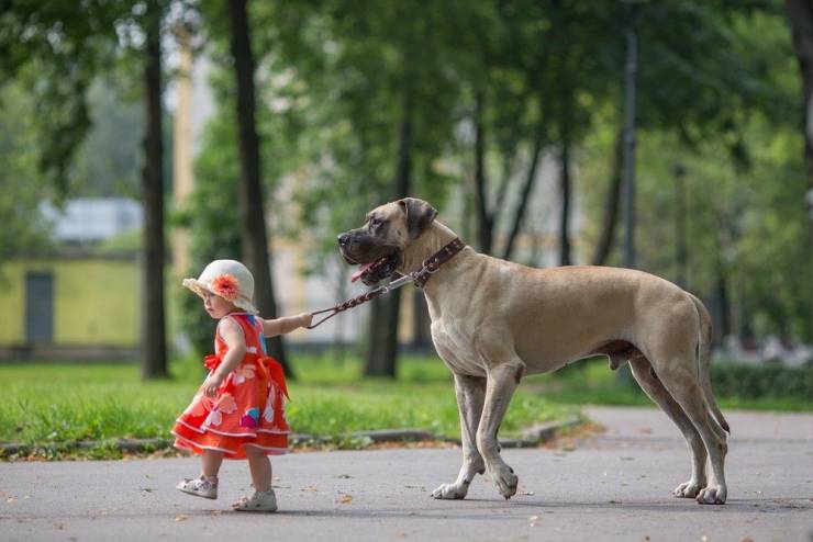 page,3,top 750 daily pics of the year 2019.html - 1 HD Photos | Premium Gallery 2019