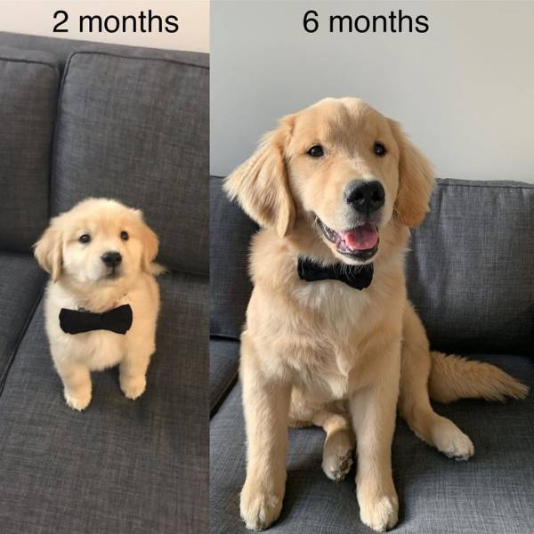 daily picdump weekend edition 50 pics 13.html - 50 HD Photos | Premium Gallery 2019