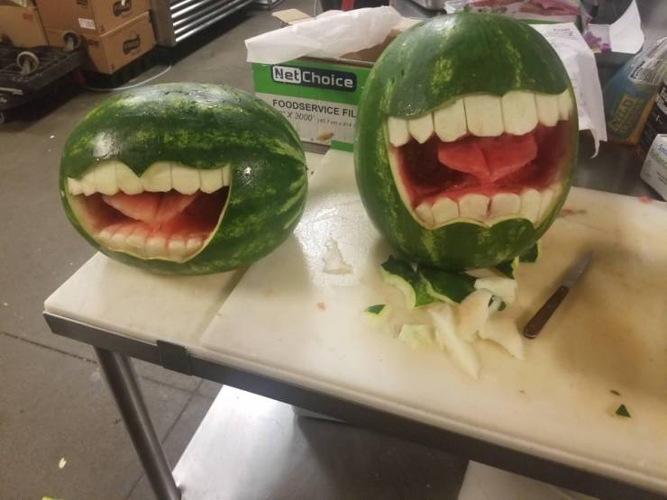 daily picdump weekend edition 50 pics 13.html - 50 HD Photos | Premium Gallery 2019
