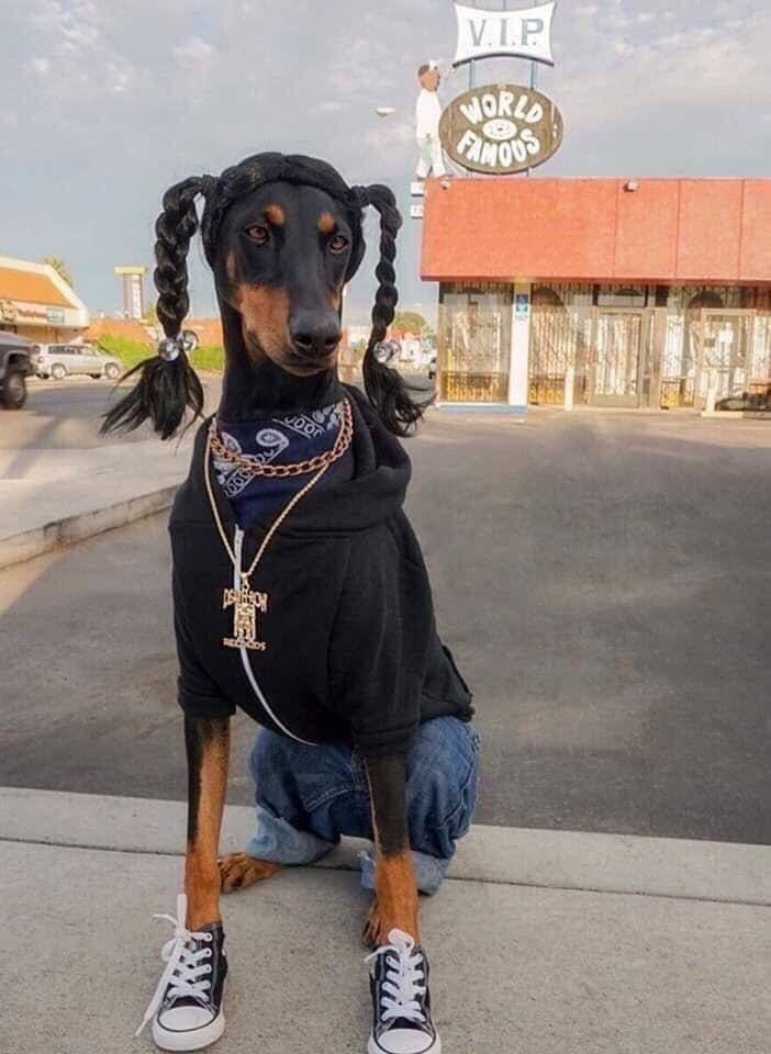 daily picdump weekend edition 50 pics 13.html - 50 HD Photos | Premium Gallery 2019