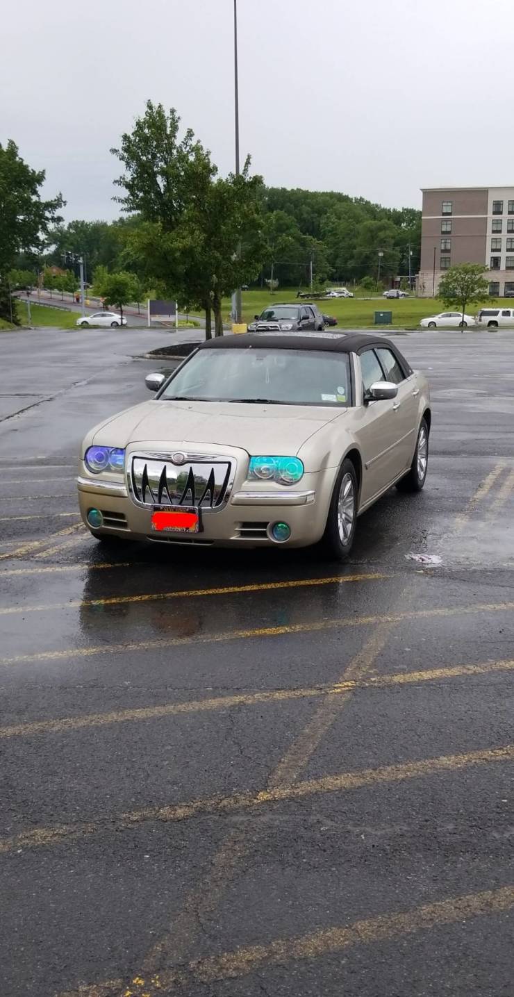daily picdump weekend edition 50 pics 13.html - 50 HD Photos | Premium Gallery 2019
