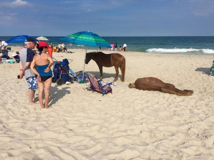 daily picdump 94 pics 28.html - 94 HD Photos | Premium Gallery 2019