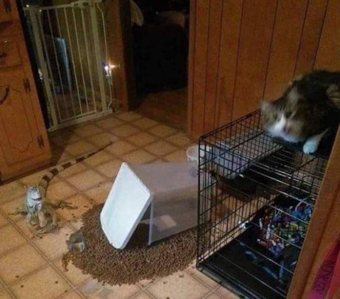 daily picdump 94 pics 28.html - 94 HD Photos | Premium Gallery 2019