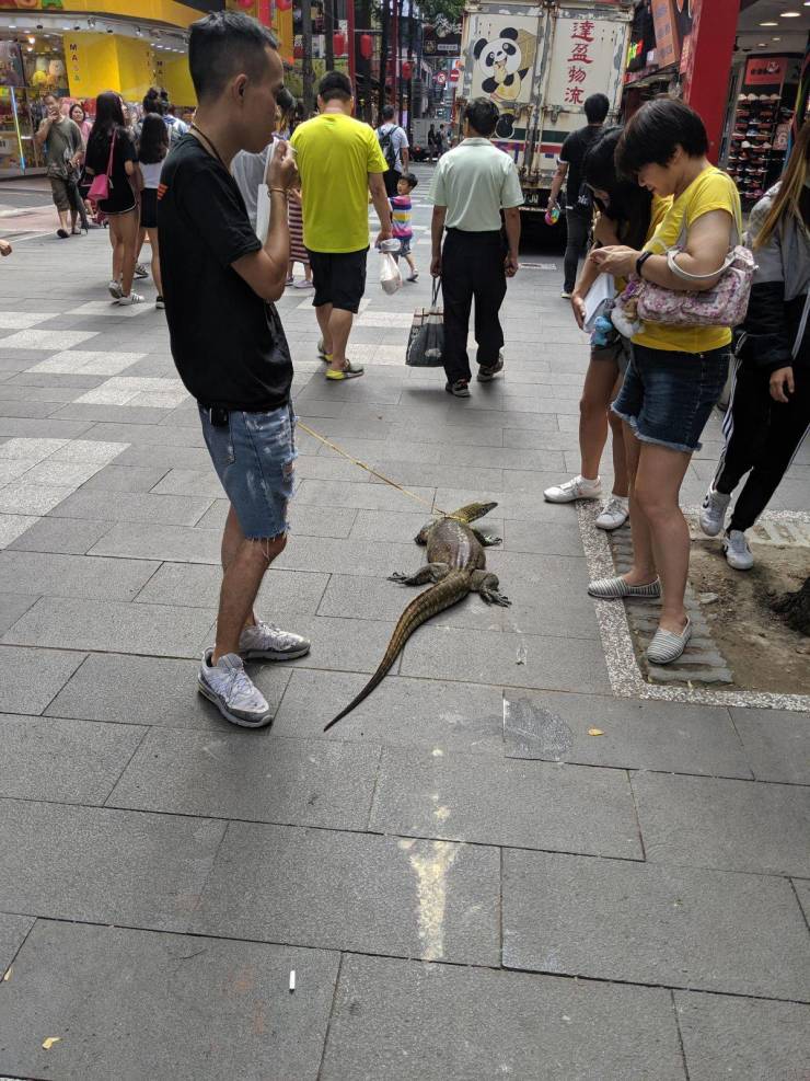 daily picdump 94 pics 28.html - 94 HD Photos | Premium Gallery 2019