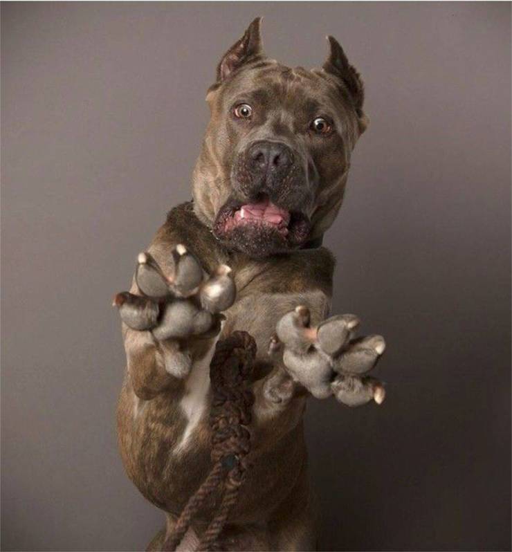 daily picdump 94 pics 28.html - 94 HD Photos | Premium Gallery 2019
