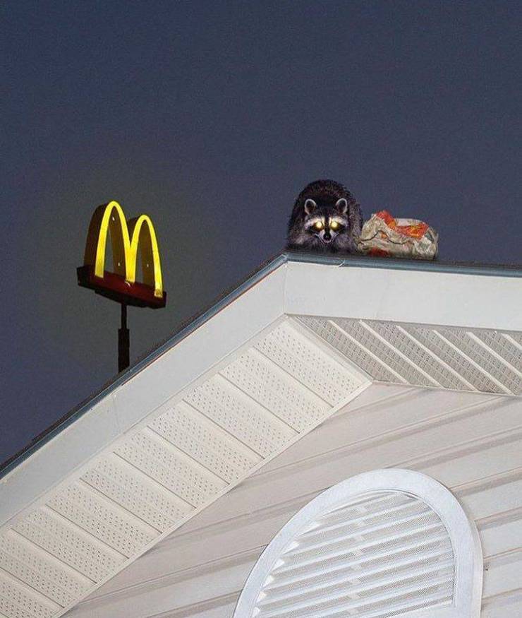 daily picdump 94 pics 28.html - 94 HD Photos | Premium Gallery 2019