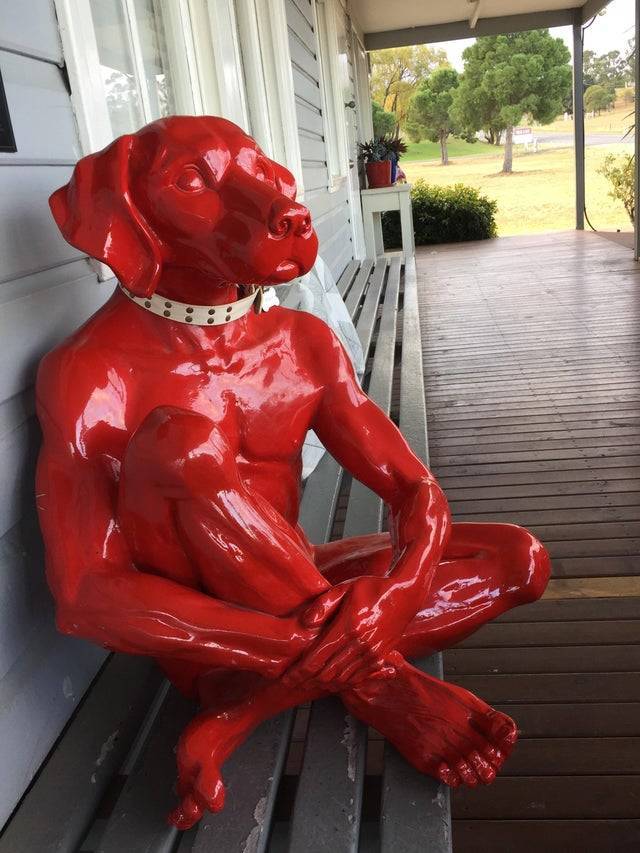 morning picdump 50 pics 12.html - 50 HD Photos | Premium Gallery 2019