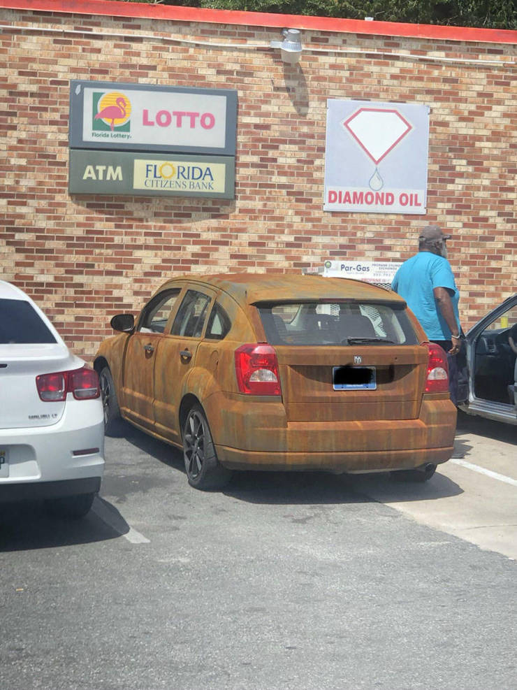 morning picdump 50 pics 12.html - 50 HD Photos | Premium Gallery 2019