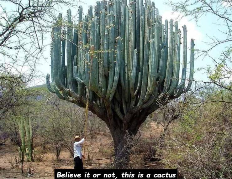 daily picdump 100 pics 1.html - 100 HD Photos | Premium Gallery 2019