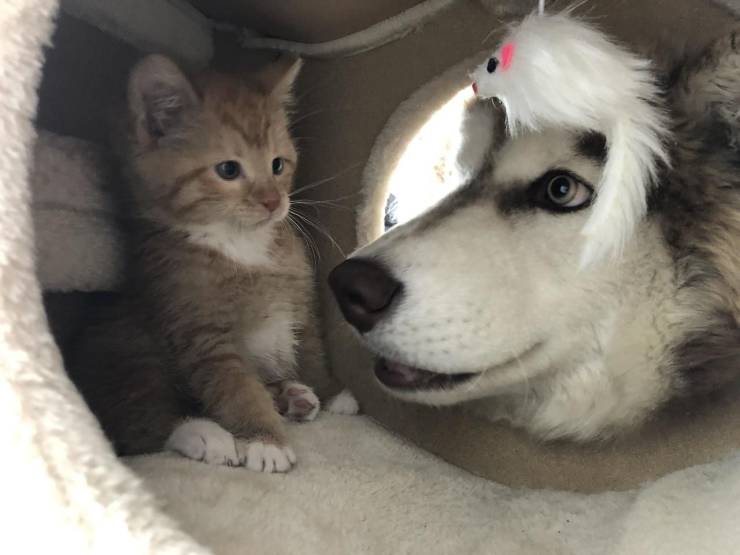 daily picdump 100 pics 1.html - 100 HD Photos | Premium Gallery 2019