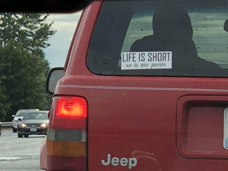 daily picdump 100 pics 1.html - 100 HD Photos | Premium Gallery 2019