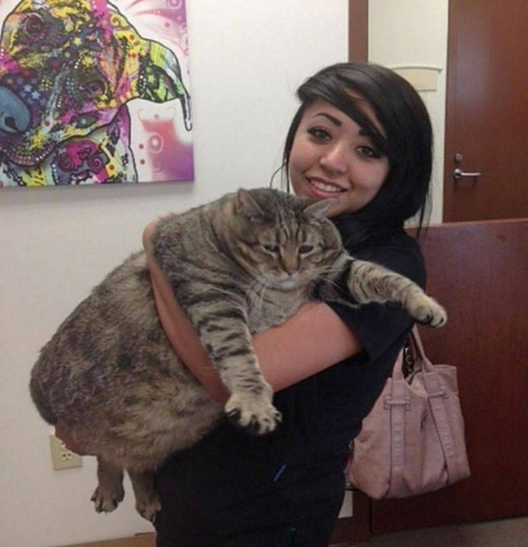 daily picdump 100 pics 1.html - 100 HD Photos | Premium Gallery 2019