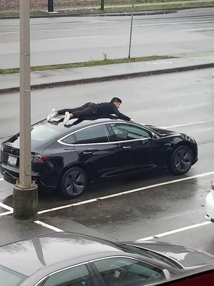 daily picdump 100 pics 1.html - 100 HD Photos | Premium Gallery 2019