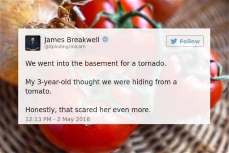 funny picdump 52 pics 1.html - 52 HD Photos | Premium Gallery 2019