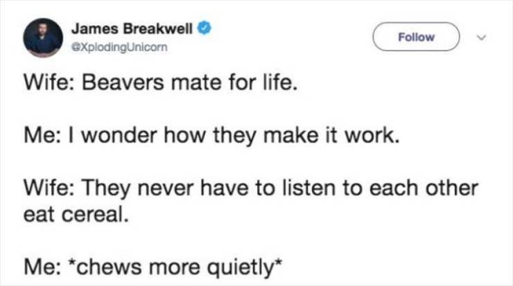 funny picdump 52 pics 1.html - 52 HD Photos | Premium Gallery 2019