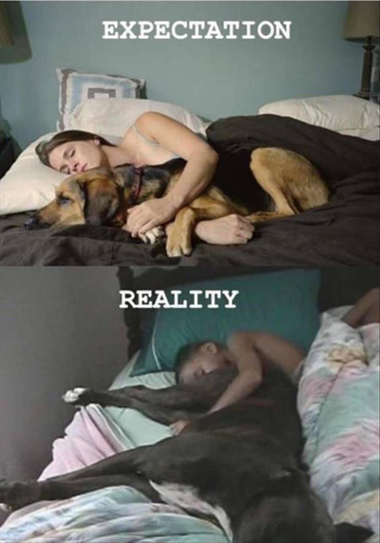funny picdump 52 pics 1.html - 52 HD Photos | Premium Gallery 2019