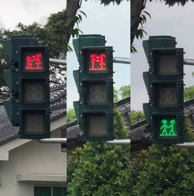 Daily Picdump [WEEKEND EDITION]