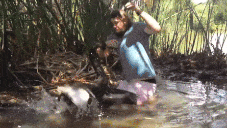 Angry Birds Theme Starts Playing