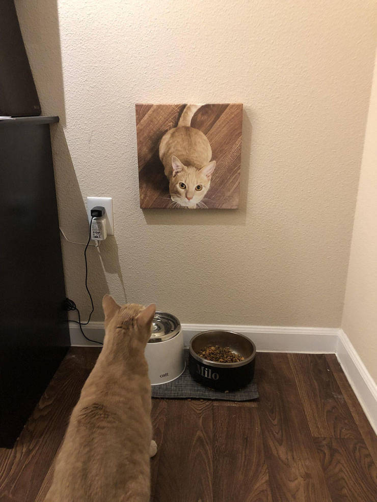 morning picdump 51 pics 4.html - 51 HD Photos | Premium Gallery 2019