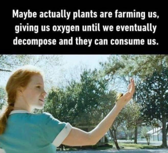 funny picdump 55 pics 1.html - 55 HD Photos | Premium Gallery 2019