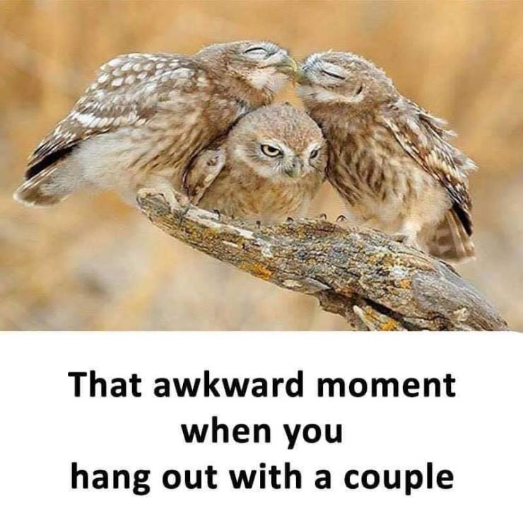 Funny Picdump