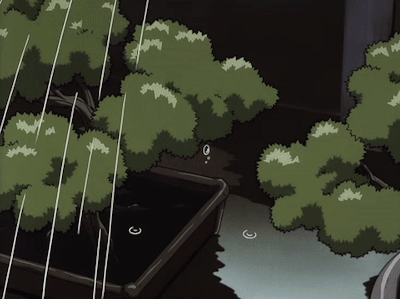 Drive-Through Workers Get To Witness Some Weird Stuff