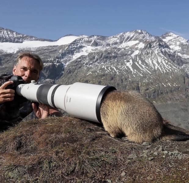 Daily Picdump