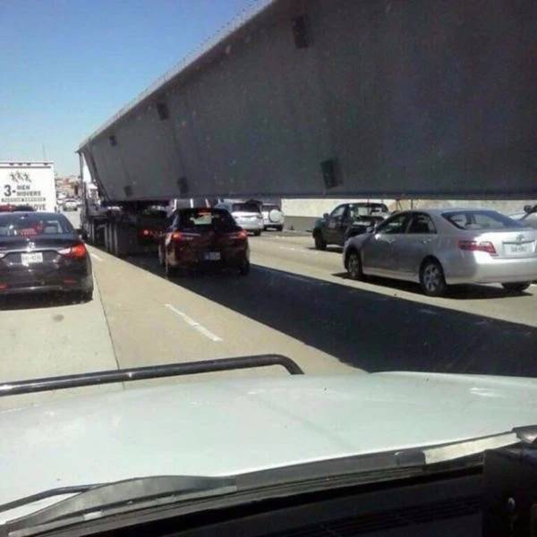Daily Picdump