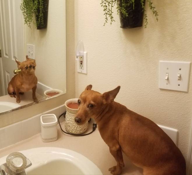daily picdump 95 pics 21.html - 95 HD Photos | Premium Gallery 2019
