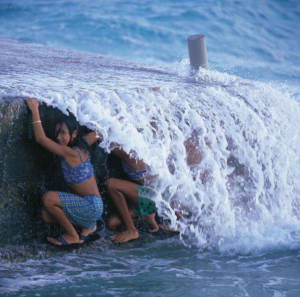 daily picdump 95 pics 21.html - 95 HD Photos | Premium Gallery 2019